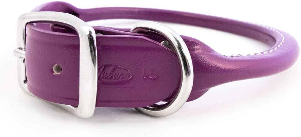 Auburn Leathercrafters Rolled Dog Collar - Purple - 22
