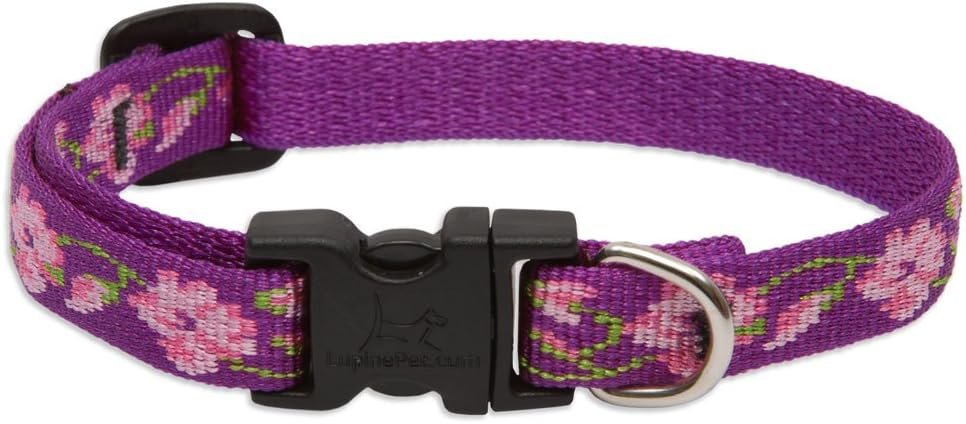 LupinePet Originals 1/2" Rose Garden 10-16" Adjustable Collar for Small Dogs