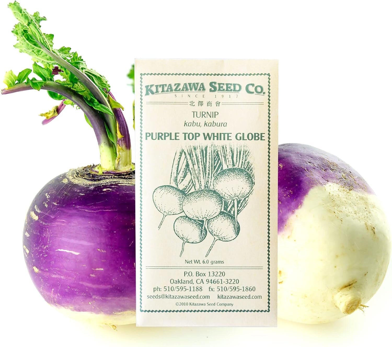 Purple Top Turnip