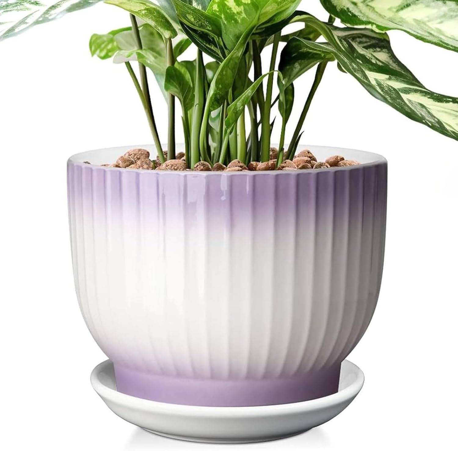 8 Inch Plant Pot, Ceramic Planter with Drainage and Saucer, Ceramic Pots for...