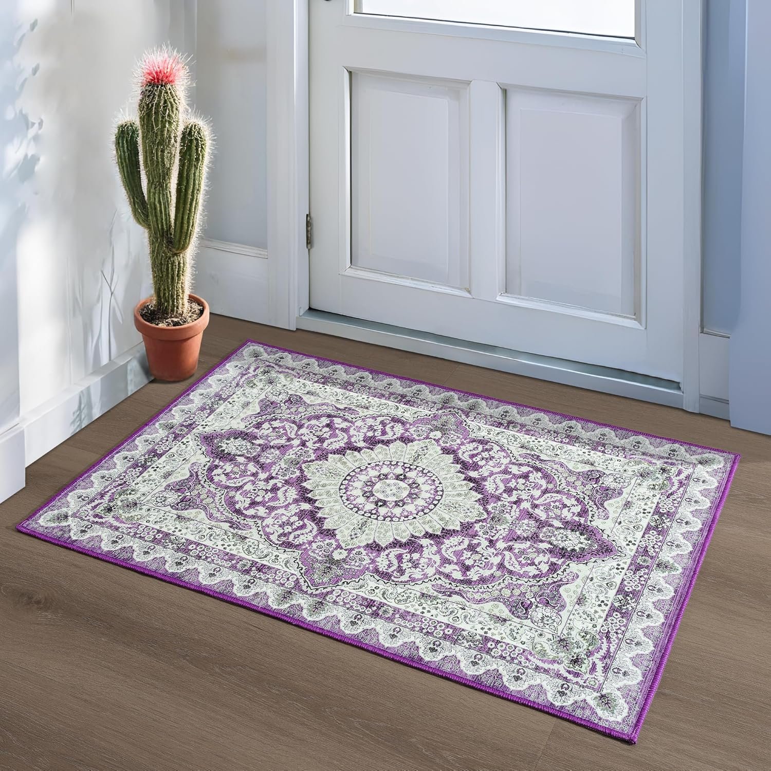 Foxmas Small Rugs for Entryway 2x3 Feet, Non-Slip Doormat Indoor Entrance...