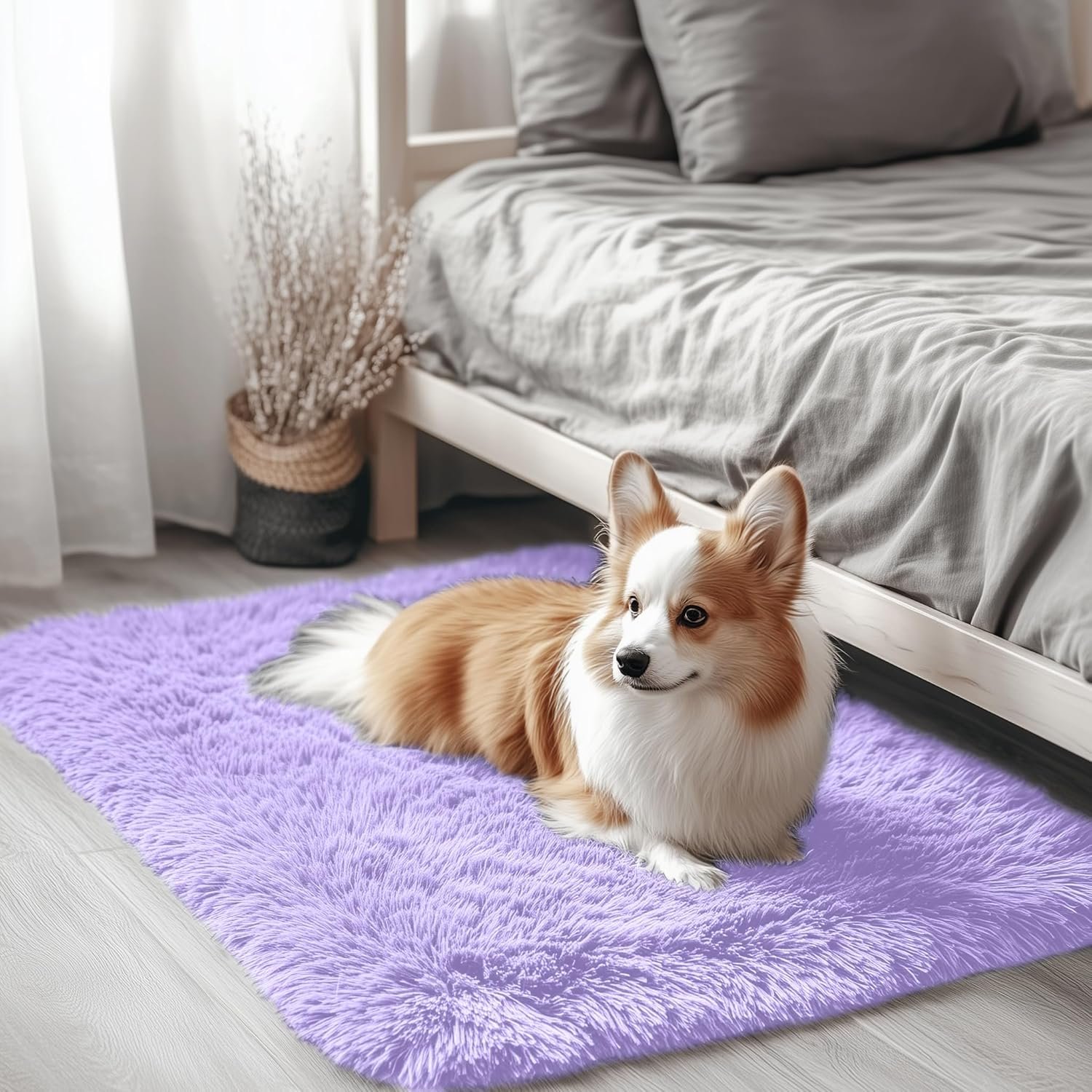 OLANLY 2x3 Machine Washable Small Bedside Rug, Soft Fluffy Shaggy Entryway...