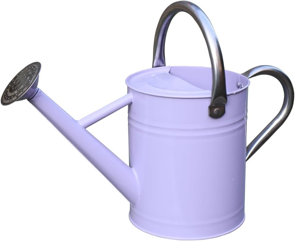 Metal Watering Can, One Gallon Watering Cans Stainless Steel for Outdoor Indoor...