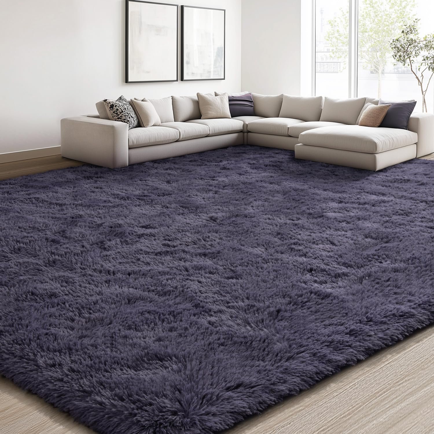 EVOIONOS 10x14 Washable Large Area Rug for Living Room, Fluffy Shag Rug for...