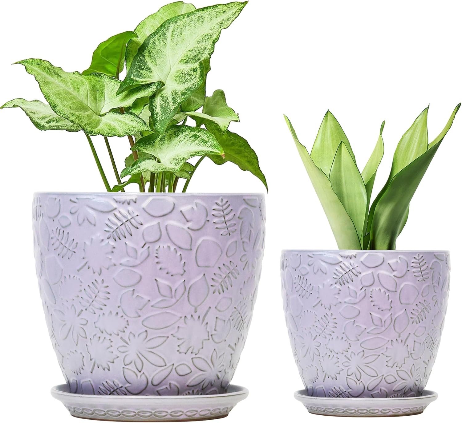 8 Inch + 6 Inch Retro Ceramic Planter Set of 2 with Drainage Hole and Saucer...