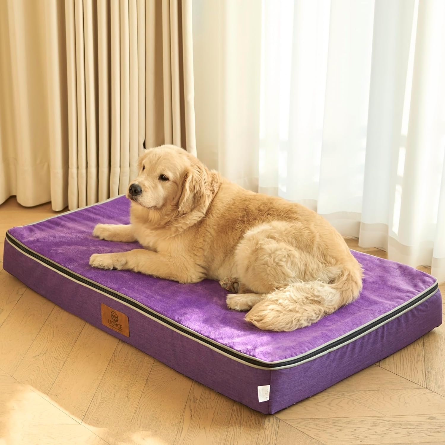 LIORCE Orthopedic Memory Foam XXL Dog Bed - 6" Thick Beds for Extra Large Sized...