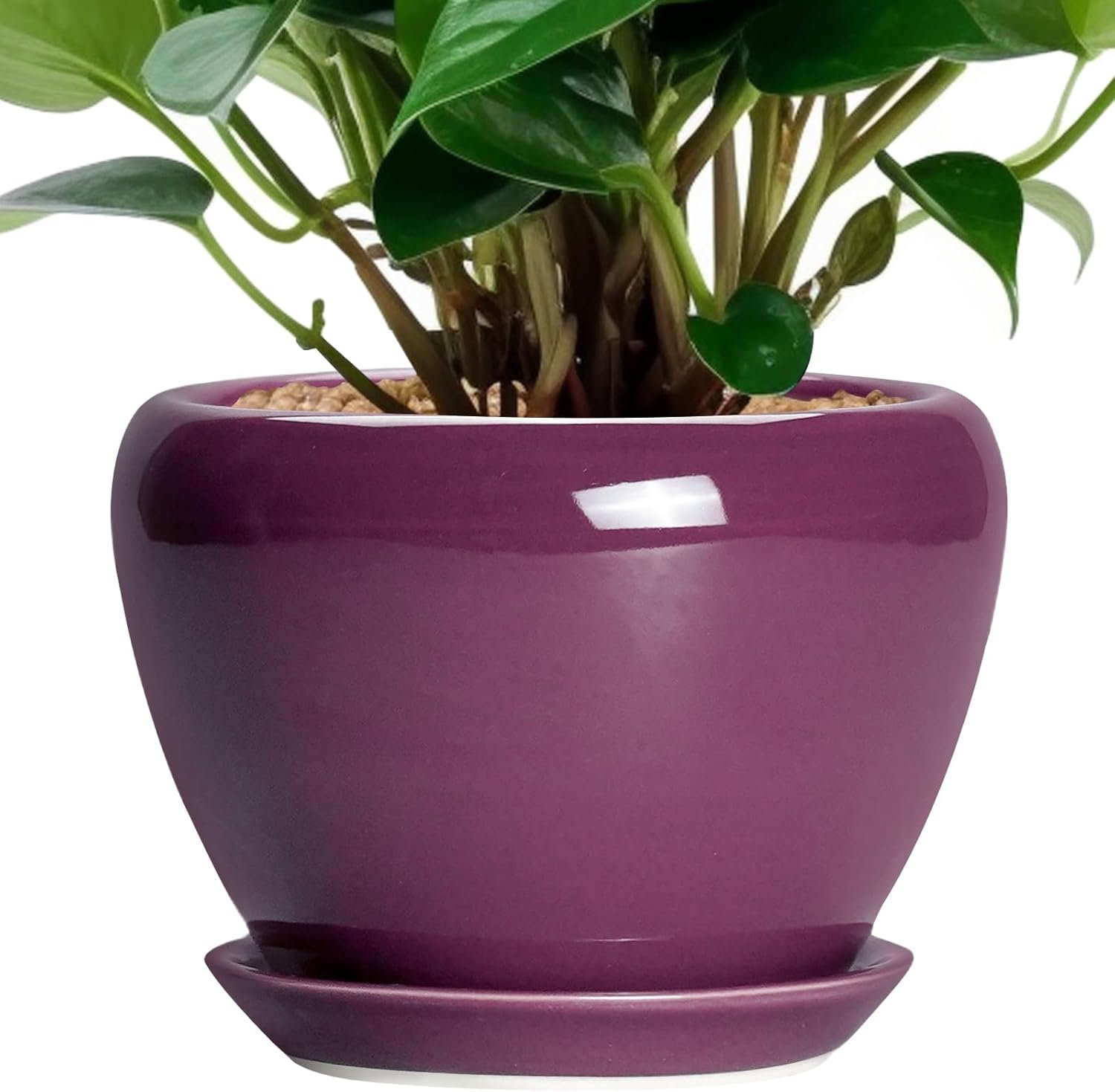 Ceramicfor Ceramic Pots for Plants 6 Inch - Ceramic Plant Pots with Drainage...